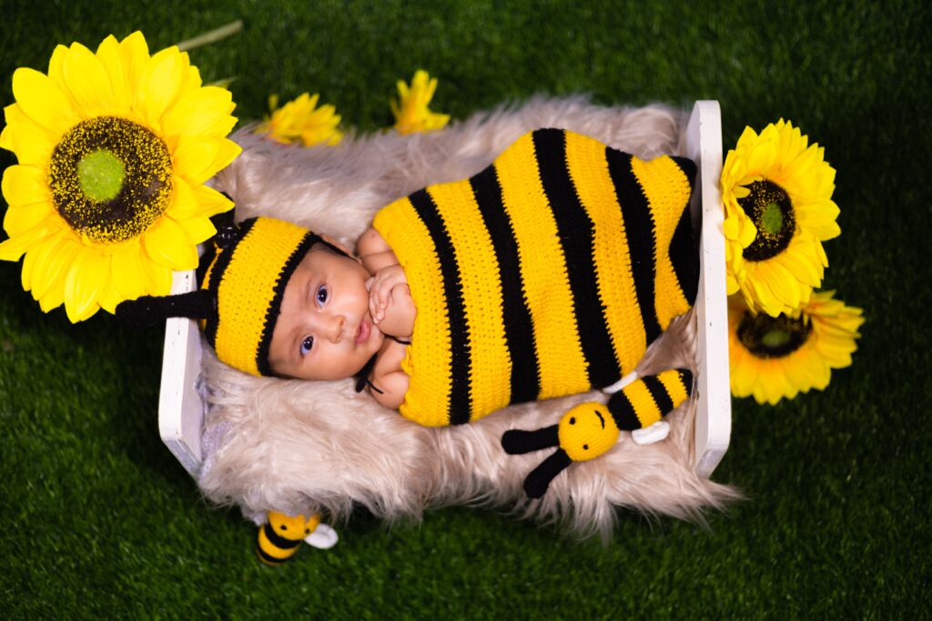 Adorable newborn in a basket with a soft blanket